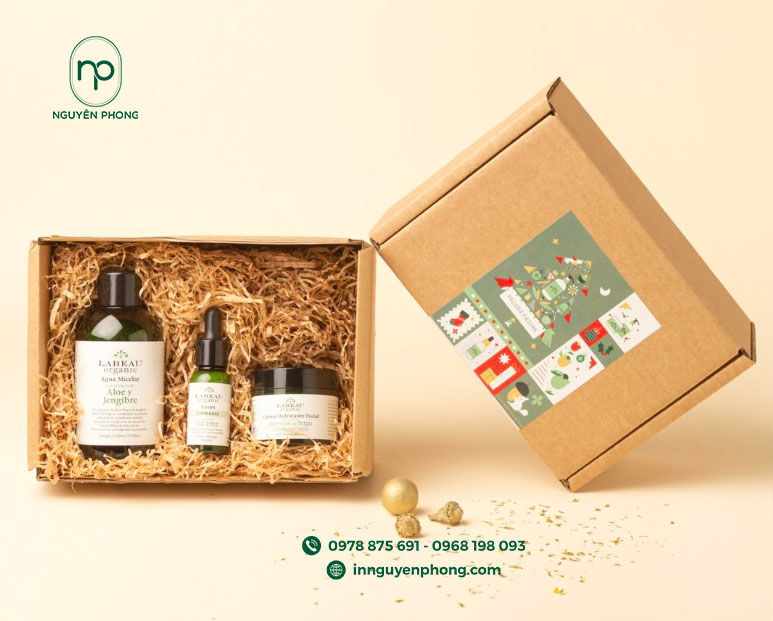 Mẫu hộp carton in giá rẻ 